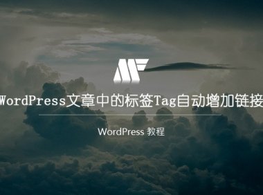 WordPress 文章中的标签Tag自动增加链接