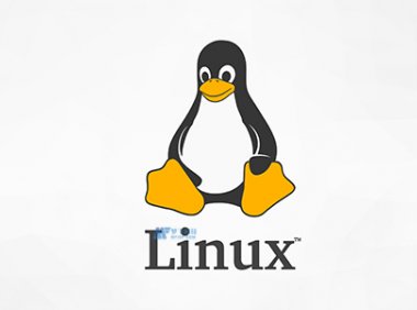 美国Linux服务器系统的常用术语