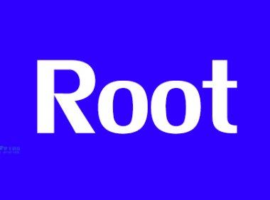 如何对托管服务器使用Root访问权限？