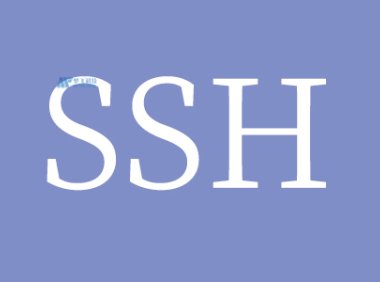 适用于Windows的最佳SSH客户端