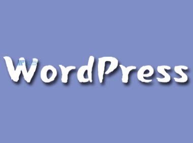 小型企业WordPress网站的14个关键SEO技巧