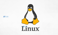 在德国Linux服务器中进行软件漏洞扫描和修补的最佳实践