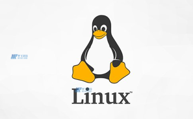 在德国Linux服务器中进行软件漏洞扫描和修补的最佳实践
