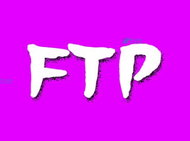 日本FTP服务器对文件传输过程中的网络安全风险的防护措施是什么？