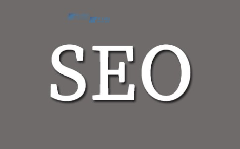 意大利SEO服务器如何提供可视化的SEO排名监控和竞价广告分析