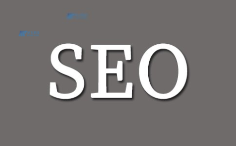 如何评估荷兰SEO服务器的性能和可靠性？