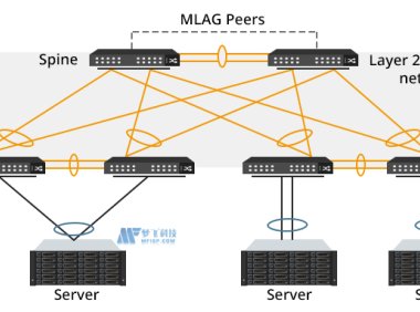 美国服务器IP地址专用与共享的核心差异及应用场景