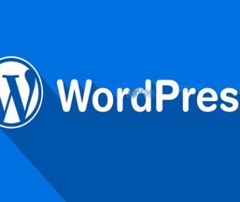 如何安装 WordPress 插件：所有方法的分步指南