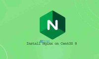 如何在 CentOS 8 上安装 Nginx