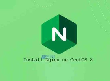 如何在 CentOS 8 上安装 Nginx
