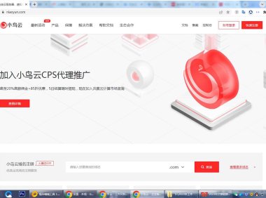 小鸟云香港高防服务器有什么特点和优势