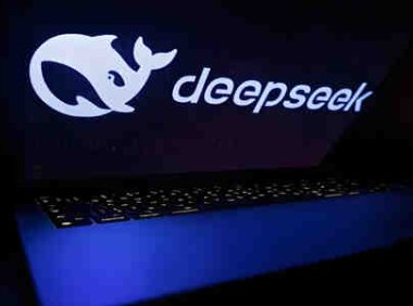 如何通过DeepSeek多IP方案打破站群局限性？实测数据告诉你真相