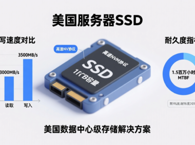 美国服务器SSD固态硬盘的性能革命