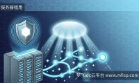 海外服务器安全：LiteSpeed漏洞与Windows更新应对策略