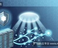 海外服务器安全：LiteSpeed漏洞与Windows更新应对策略