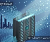 香港CN2服务器怎么选？近期热点的几点现实考量