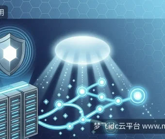 海外服务器安全：LiteSpeed漏洞与Windows更新应对策略