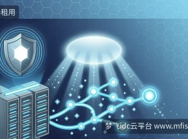 海外服务器安全：LiteSpeed漏洞与Windows更新应对策略