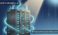 AI抢电时代，香港服务器怎么选？